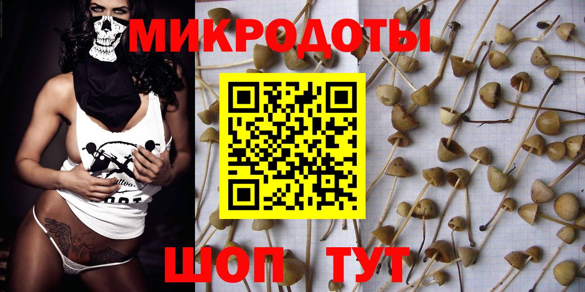 Псилоцибиновые грибы Cubensis  Вход с VPN  Вологда 